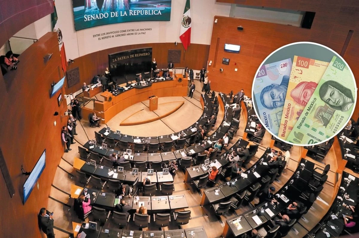 Salario mensual de un senador en México en 2026. Foto: Comentario