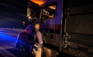 El cargamento parecía normal, pero escondía más de 7 mil cartuchos; hay un detenido en Chihuahua