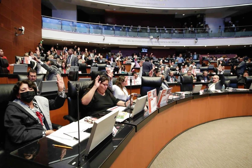 Funciones de los senadores en México. Foto: Cortesía