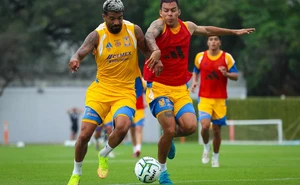Xolos vs Tigres EN VIVO: horario y dónde ver el debut de ambos en el Apertura 2026 de la Liga MX