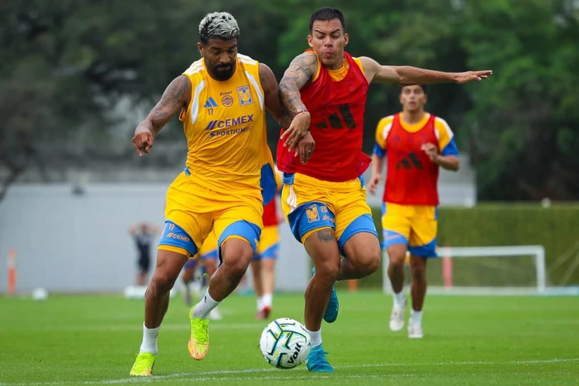 Tigres inicia un nuevo torneo con la misión de volver al protagonismo, mientras Xolos busca regresar a la Liguilla. Descubre cuándo juegan, dónde ver el partido y las claves del debut en la Liga MX.