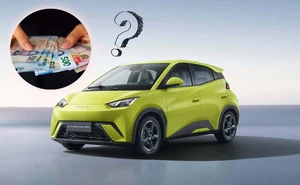 ¿Lo tienes en la mira? Esto es lo que tienes que ganar para comprar el BYD Dolphin Mini en México