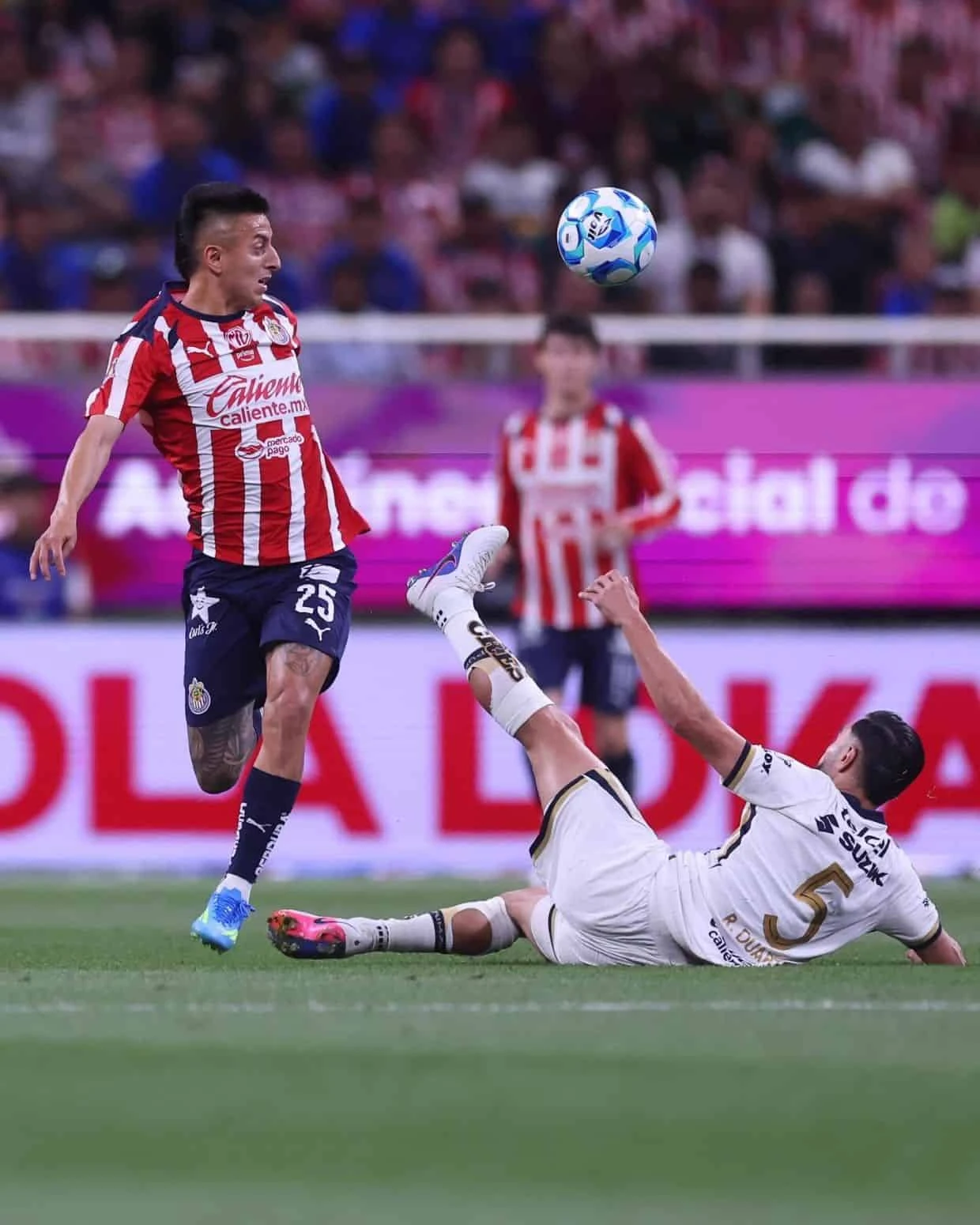 El Rebaño se enfrentará a los Diablos Rojos del Toluca, en la jornada 1 del Apertura 2026. Foto: Chifvas