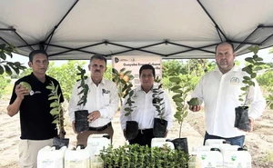 El ITS Eldorado siembra el futuro del campo con su proyecto de guayaba orgánica