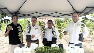 El ITS Eldorado siembra el futuro del campo con su proyecto de guayaba org&aacute;nica