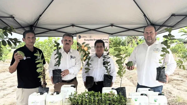 El ITS Eldorado siembra el futuro del campo con su proyecto de guayaba org&aacute;nica