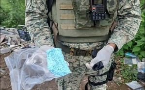 Ejército y Marina golpean al crimen en Sinaloa; aseguran fentanilo y explosivos en Culiacán y San Ignacio