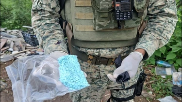 Ejército y Marina golpean al crimen en Sinaloa; aseguran fentanilo y explosivos en Culiacán y San Ignacio