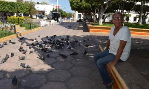 Porque ellos tienen hambre: el noble gesto de don José Manuel que cada tarde conmueve a La Cruz de Elota Porque ellos tienen hambre: el noble gesto de don José Manuel que cada tarde conmueve a La Cruz de Elota