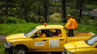Gobierno de Sinaloa refuerza acciones contra incendios forestales en 2026