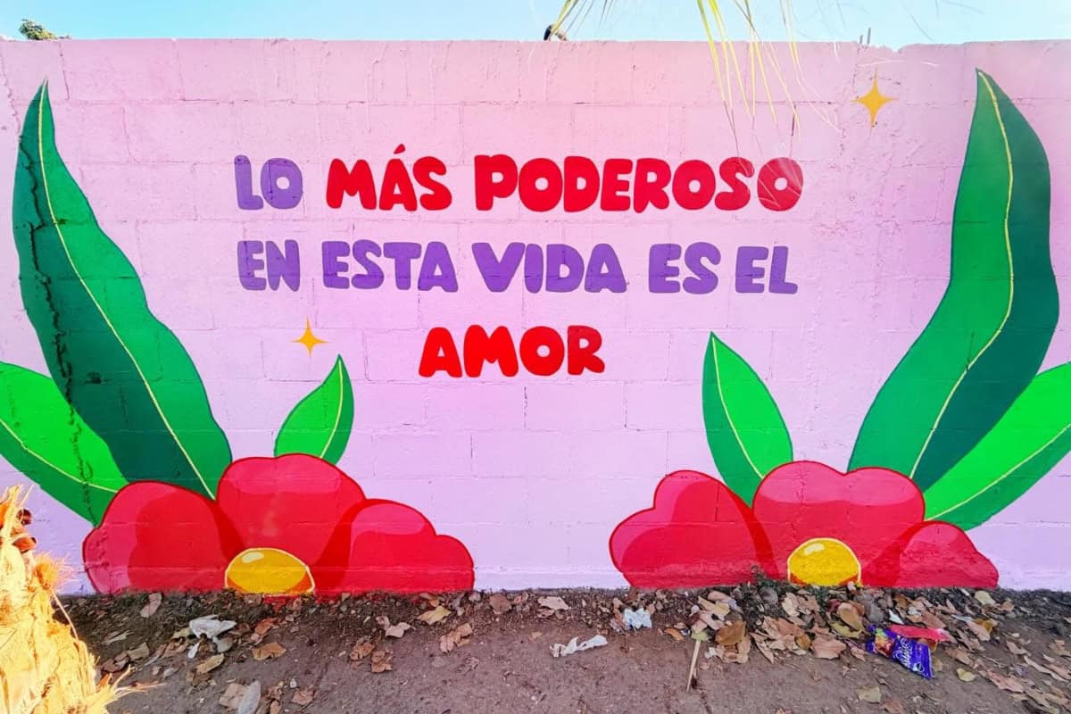 Imagen 1