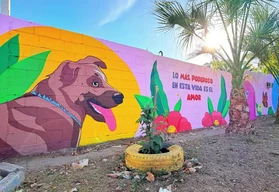Un mural llena de color y esperanza el Parque Los &Aacute;ngeles Benjamines en Culiac&aacute;n