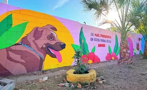 Un mural llena de color y esperanza el Parque Los Ángeles Benjamines en Culiacán