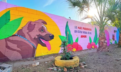 Un mural llena de color y esperanza el Parque Los Ángeles Benjamines en Culiacán Un mural llena de color y esperanza el Parque Los Ángeles Benjamines en Culiacán