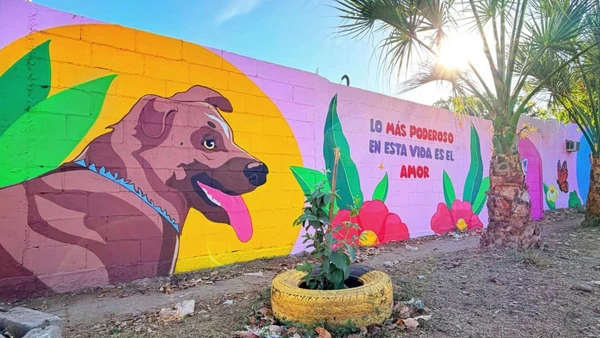 Un mural llena de color y esperanza el Parque Los &Aacute;ngeles Benjamines en Culiac&aacute;n