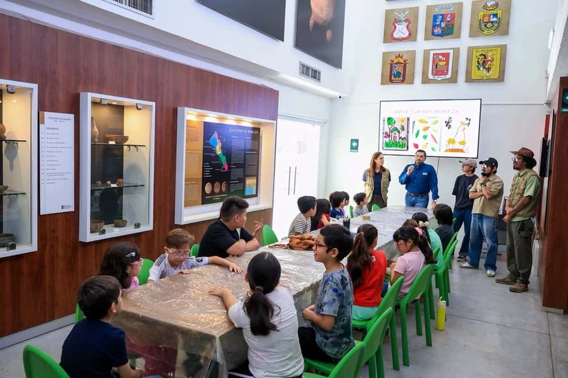 El Museo de Historia Regional de Sinaloa recibe a decenas de niñas y niños que participan en un curso donde el arte y la naturaleza se convierten en herramientas de aprendizaje. Foto: IMCC