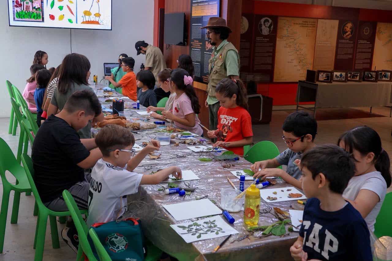 Imagen 20