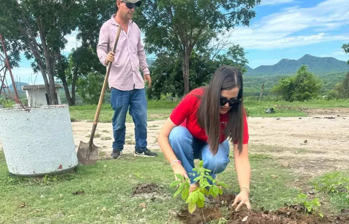 San Ignacio realiza jornada de reforestación en el área recreativa de La Mesa por el Día Mundial del Árbol