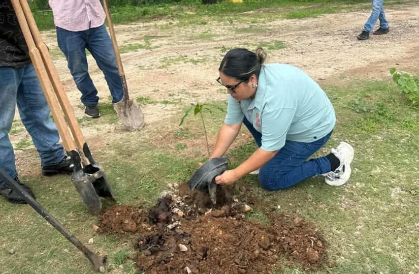 La reforestación en el área recreativa de La Mesa contribuye al cuidado ambiental, la recuperación de áreas verdes y la mitigación del cambio climático.