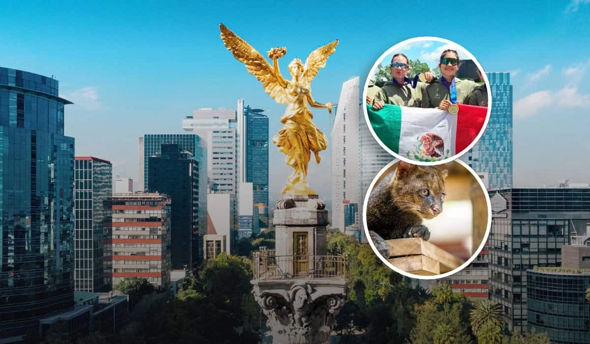 Las 10 mejores noticias de México. Foto: Especial