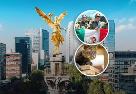 Lo m&aacute;s inspirador de M&eacute;xico: 10 buenas noticias del 17 de julio 2026