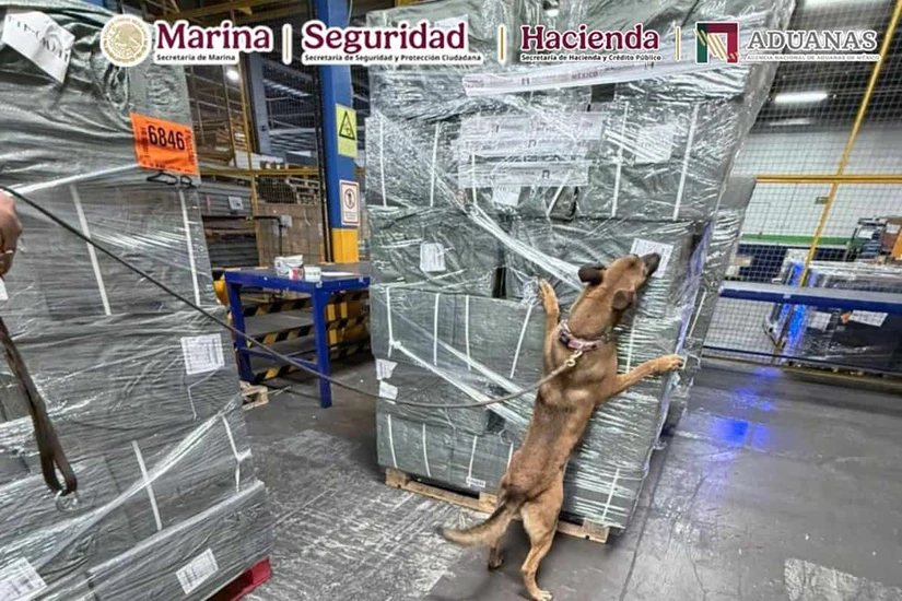 ANAM, SSPC y Marina aseguran más de 156 toneladas de mercancía ilícita en el AICM durante 2025 y 2026