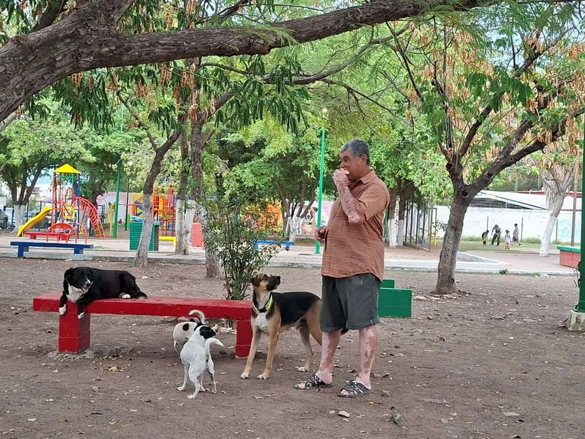 Con paciencia y cariño, un vecino alimenta a los perritos que hoy forman parte de la gran familia del parque La Florida. Foto: Juan Madrigal