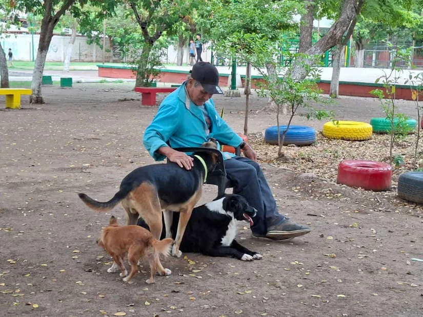 Los perritos reciben las caricias de un vecino que, con gestos sencillos, les brinda amor y protección. Foto: Juan Madrigal