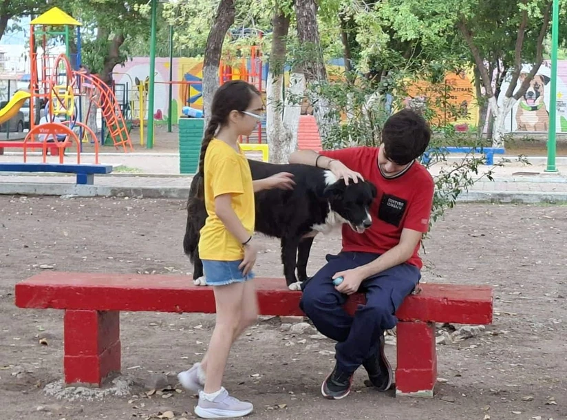 Niñas, niños y jóvenes han hecho de los perritos del parque parte de su vida diaria, regalándoles cariño, juegos y compañía. Foto: Juan Madrigal