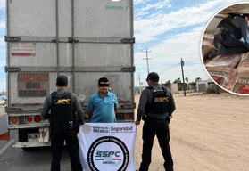 El tractocami&oacute;n parec&iacute;a llevar alimento para ganado, pero una inspecci&oacute;n revel&oacute; lo inesperado
