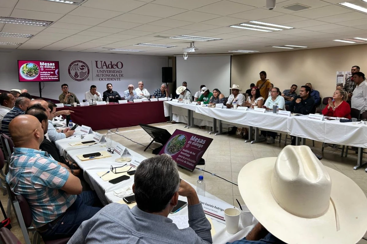 Autoridades, productores, especialistas y comunidad avanzan en el diálogo sobre la planta de fertilizantes de Topolobampo, con énfasis en información técnica y construcción de acuerdos. | Imagen cortesía de GPO