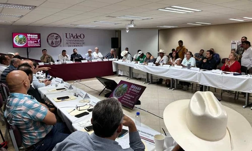 Mesa de diálogo sobre planta GPO de Topolobampo fortalece intercambio técnico y búsqueda de acuerdos Mesa de diálogo sobre planta GPO de Topolobampo fortalece intercambio técnico y búsqueda de acuerdos