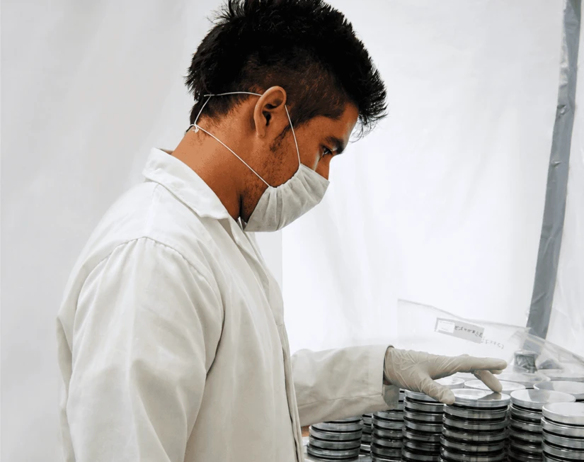 Las investigaciones de Adrián González Castillo sobre la microbiota acuática aportan información científica para proteger los arrecifes de coral, fortalecer la acuacultura y prevenir riesgos ambientales.