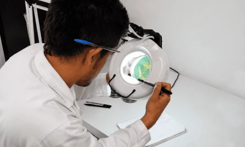 Científico de Sinaloa analiza la microbiota acuática para anticipar daños ambientales en el mar