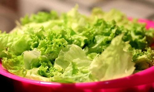 Lechuga mexicana dio un falso positivo por la diarrea en Estados Unidos, aclara FDA Lechuga mexicana dio un falso positivo por la diarrea en Estados Unidos, aclara FDA
