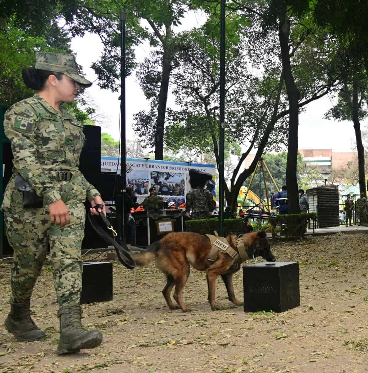 Semar destaca el trabajo de sus binomios caninos en búsqueda y rescate por el Día Mundial del Perro