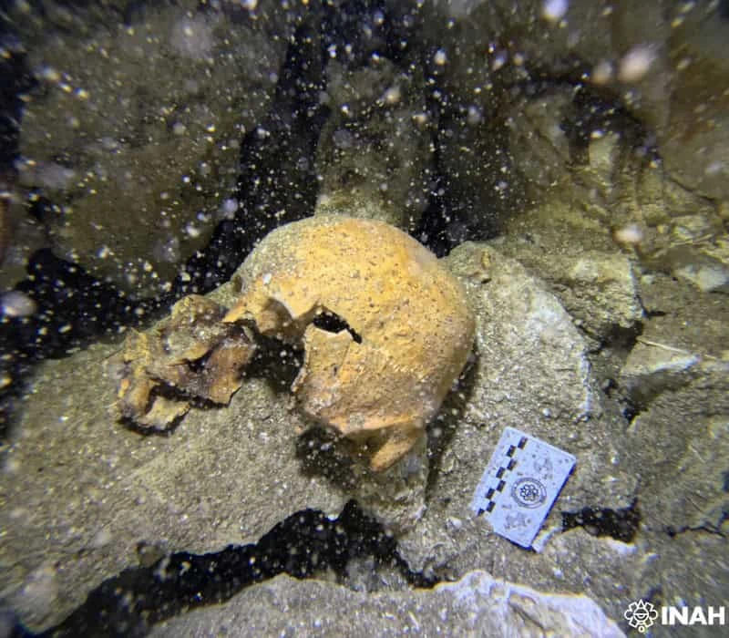 Cenote Yaakun en Quintana Roo revela restos de una posible mujer antigua llamada Yatzil