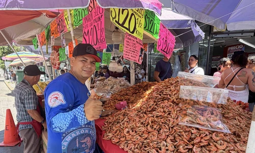 De Escuinapa para Mazatlán y para el mundo: el camarón seco del compadre Erick que está conquistando a los turistas