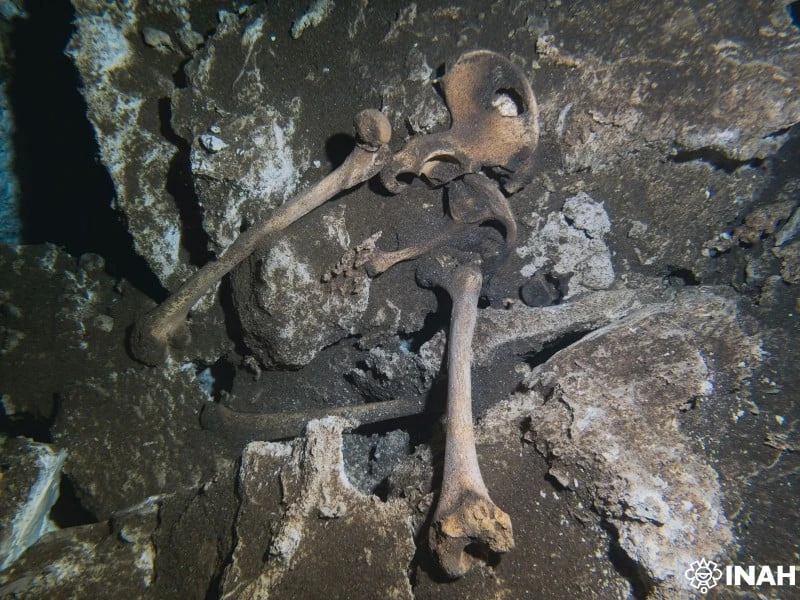 Hallan restos humanos y vasijas mayas en un cenote de Quintana Roo; investigadores buscan preservar el sitio