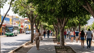 Arborización urbana y confort térmico. La sombra como infraestructura para el peatón