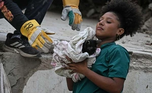 Los dueños los daban por perdidos: así sobreviven cientos de mascotas rescatadas tras el terremoto en Venezuela