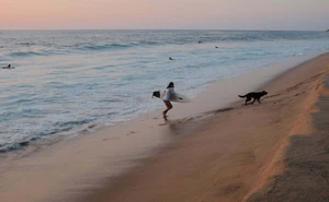 Las playas de México donde las olas alcanzan hasta 15 metros y atraen a surfistas de todo el mundo