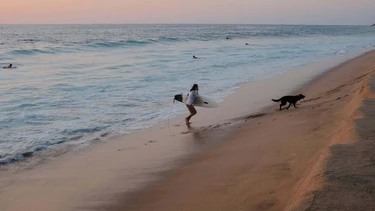Las playas de México donde las olas alcanzan hasta 15 metros y atraen a surfistas de todo el mundo