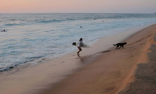 Las playas de México donde las olas alcanzan hasta 15 metros y atraen a surfistas de todo el mundo Las playas de México donde las olas alcanzan hasta 15 metros y atraen a surfistas de todo el mundo
