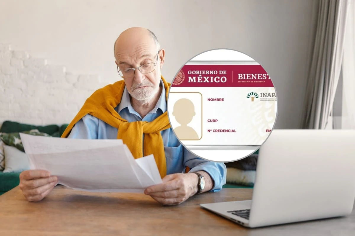 Consigue descuento en el trámite de la licencia con la credencial del INAPAM. Foto: Magnific/Cortesía