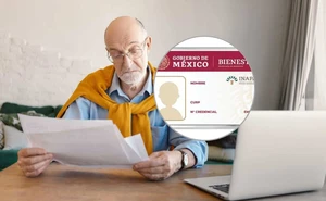 Descuento en la licencia con la credencial del INAPAM: estados en que aplica