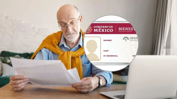 Descuento en la licencia con la credencial del INAPAM: estados en que aplica