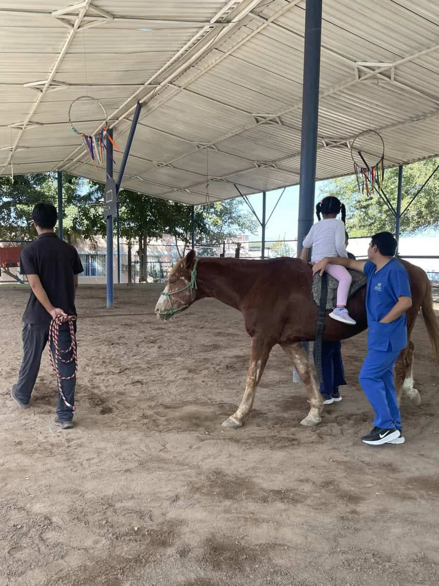 Padres y Compadres podrá fortalecer el área de equinoterapia con los recursos recibidos de Fundación Soriana