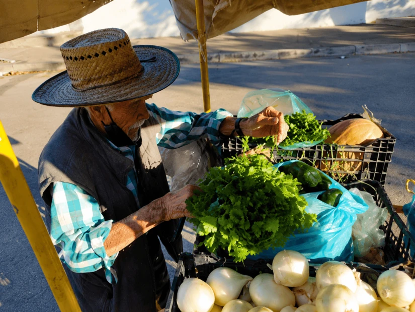 Antes de iniciar su recorrido, Don Alfonso acomoda cuidadosamente las frutas y verduras que ofrecerá durante la jornada. Foto: Juan Madrigal