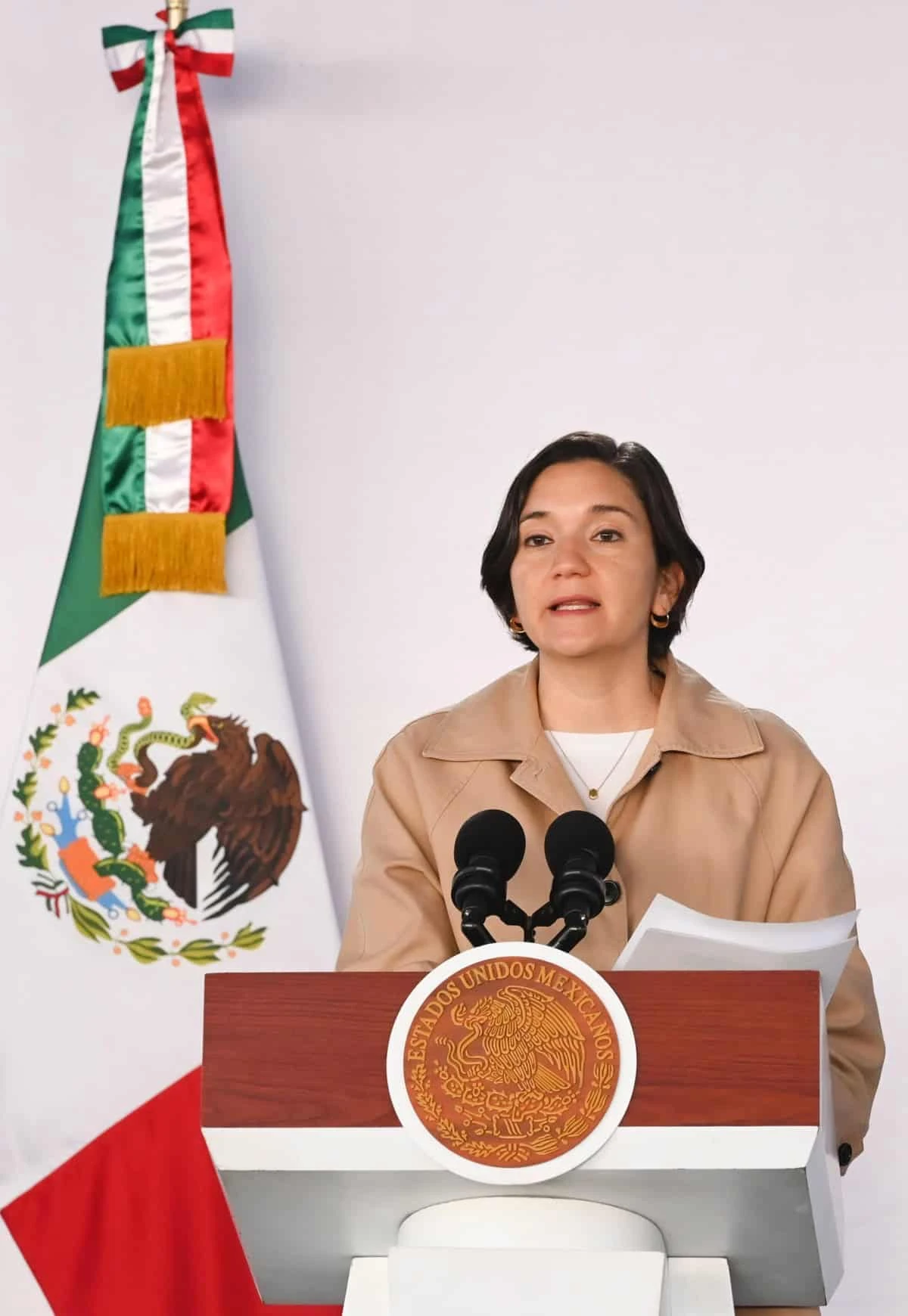 Marcela Figueroa, directora del Secretariado Ejecutivo del Sistema Nacional de Seguridad Pública